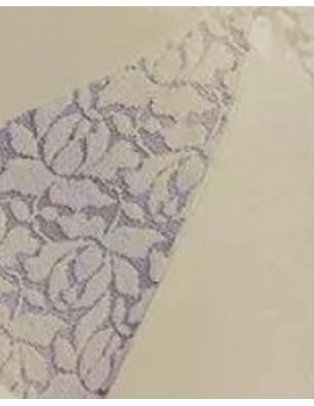 Tonia majtki figi damskie, Emili