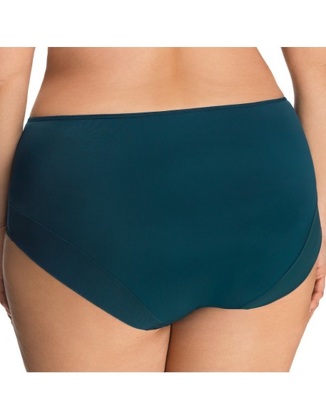 Briefs women's with wysokim stanem Gorsenia...