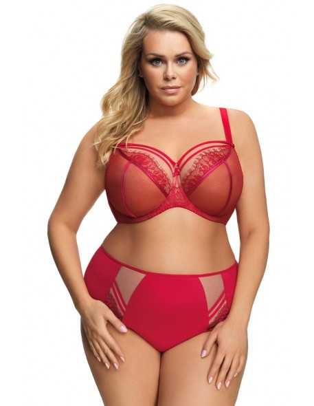 Briefs women's with wysokim stanem Gorsenia...