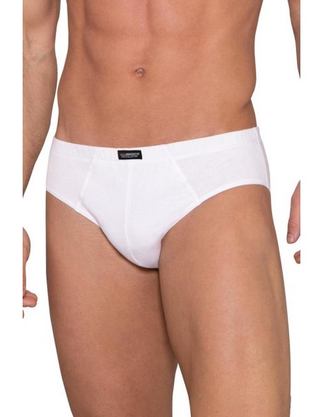 Briefs m-4000 cl-01 a'2, Lama