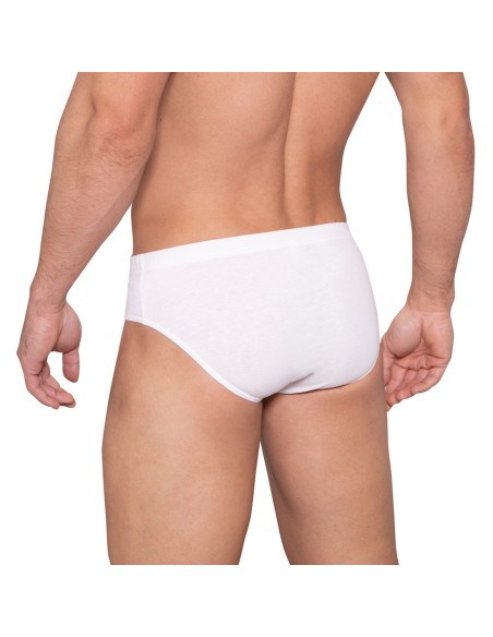 Briefs m-4000 cl-01 a'2, Lama