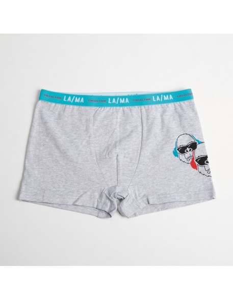 Shorts for boys b-501sz, Lama