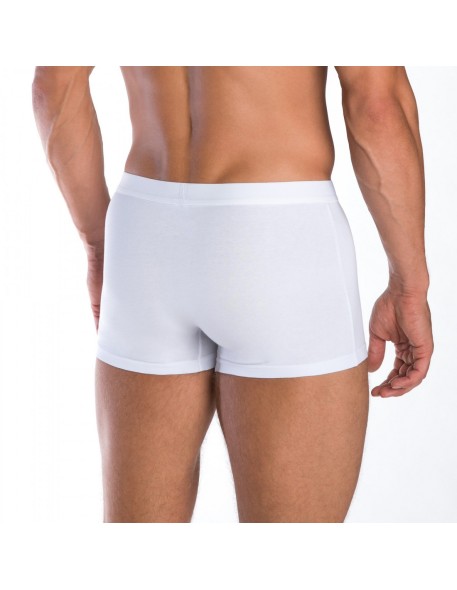 Shorts men's m-4001szg-01, Lama