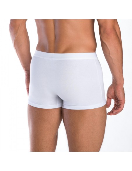 Szorty męskie m-4001szg-01, Lama