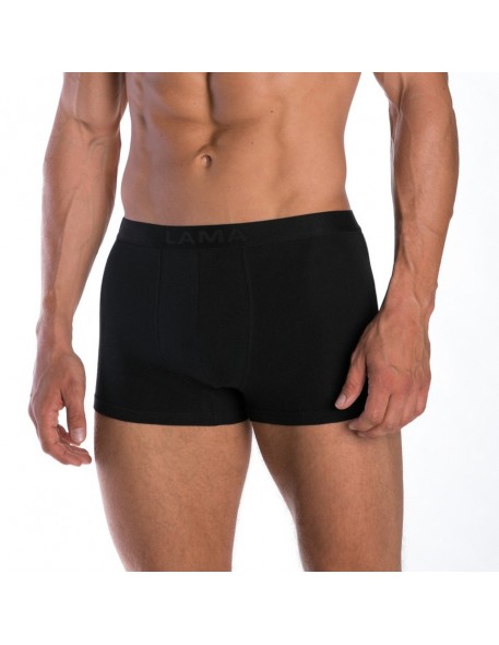 Shorts men's m-4001szg-02, Lama