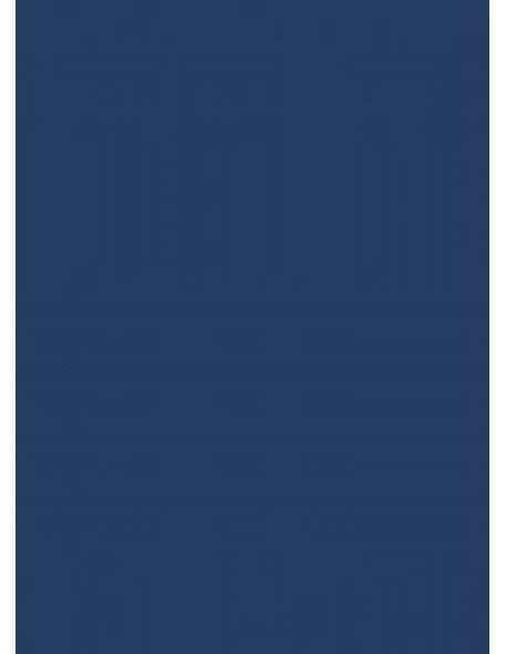 Briefs men's Gatta Cotton Slip 41547