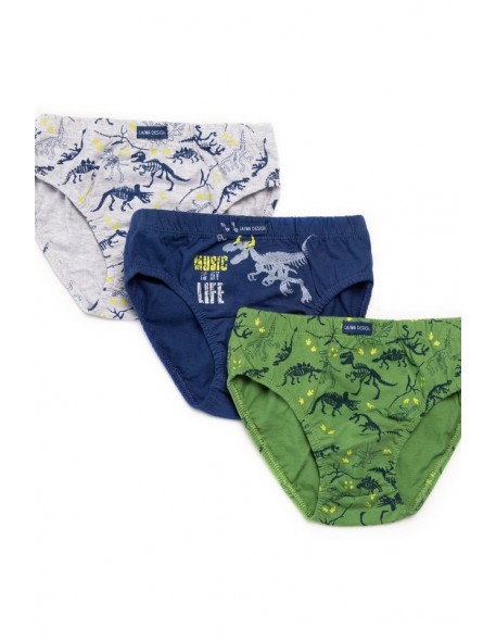 Briefs FOR BOYS B-223SD, Lama