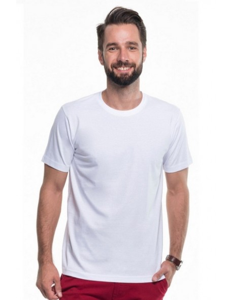 T-shirt męski premium 21185-20, Promostars