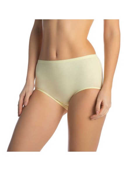 Briefs manuela l, Lama