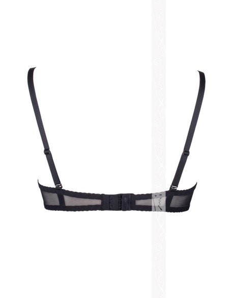 V-5891 meteorite półbiustonosz, Axami