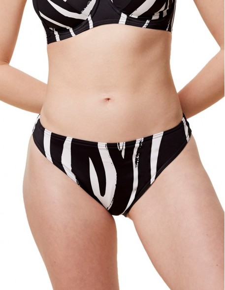 Bathing briefs bikini Triumph Summer Mix & Match Tai 01 Pt
