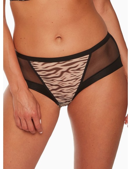 Briefs alia art. 1234 Gaia