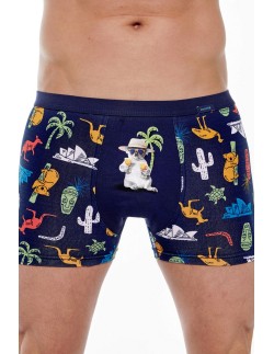 Boxer shorts Tattoo 280 spring 2024 Cornette