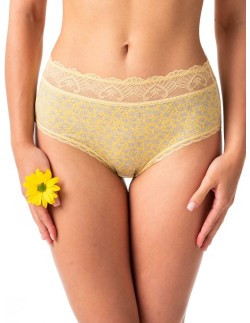 Briefs LPC 533 a24 Key 2