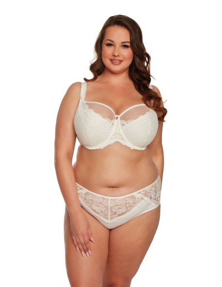 Briefs sintia art. 1246 Gaia