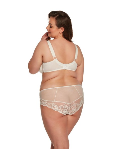 Briefs sintia art. 1246 Gaia