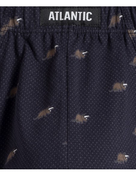 Briefs men's trzypak Atlantic 3MP-167