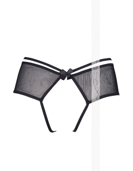 V-5893 Meteorite briefs, Axami