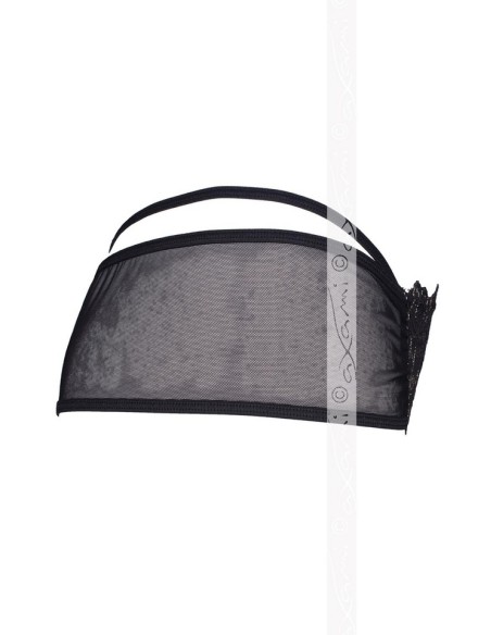 V-5893 Meteorite briefs, Axami