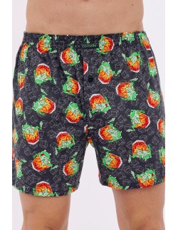 Boxer shorts classic 2024j 3-5xl Cornette 2