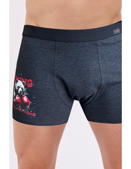 Boxer shorts tattoo 280 j/24 Cornette