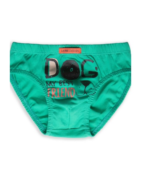 Briefs for boys 92-140 cotton Lama B-229SD 3-pack