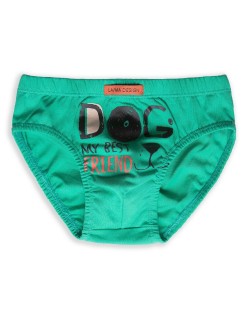 Slipy chłopięce 92-140 bawełna Lama B-229SD 3-pack  2