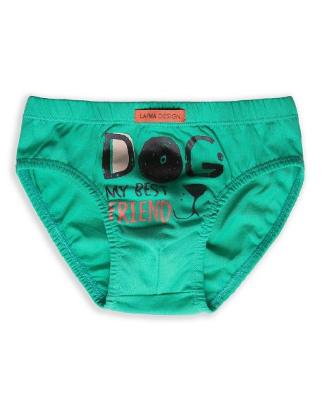 Briefs for boys 92-140 cotton Lama B-229SD 3-pack