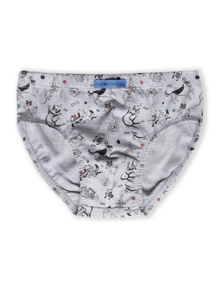 Briefs for boys 92-140 cotton Lama B-229SD 3-pack