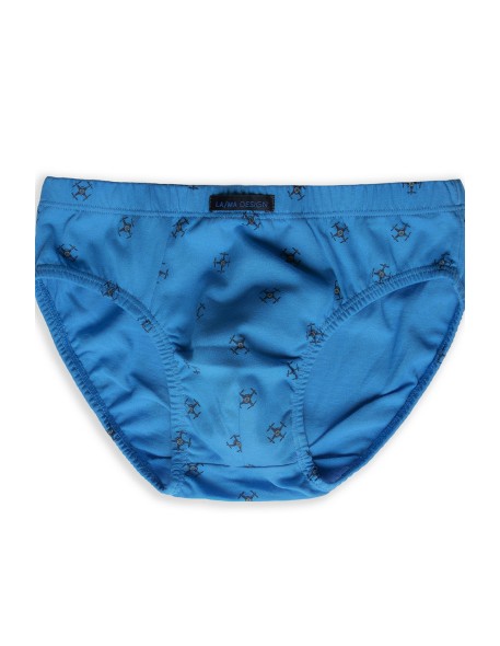 Bawełniane slipy chłopięce 134-170 Lama B-523SD...