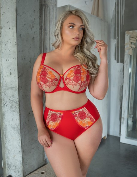 Briefs women's with wysokim stanem krisline...