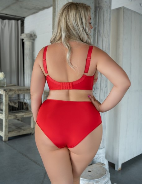 Briefs women's with wysokim stanem krisline...