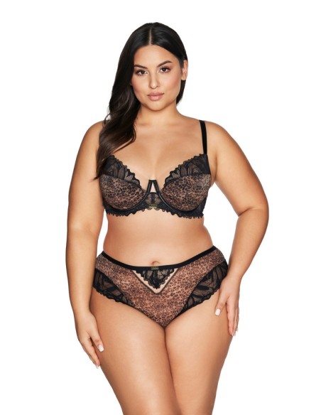 Half padded bra Panther Ava 2132 black