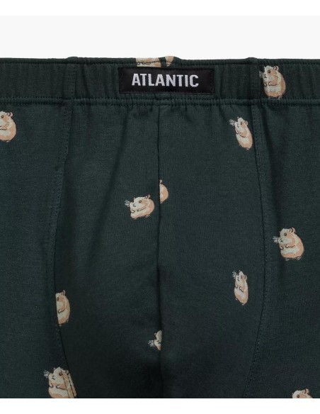Luźne bokserki męskie Atlantic 2MHH-001 dwupak 