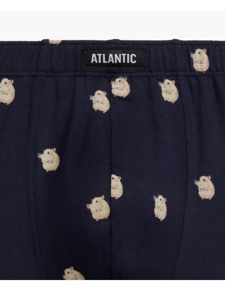 Luźne boxer shorts men's Atlantic 2MHH-001 dwupak