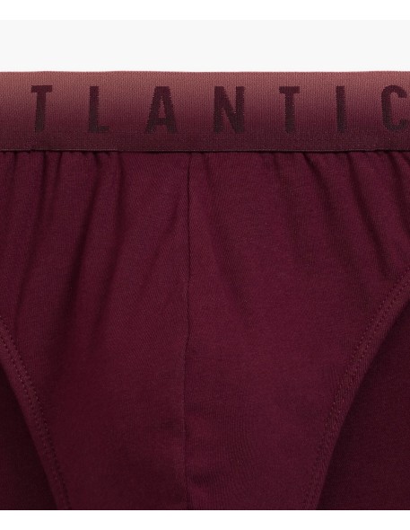 Briefs men's Atlantic 3MP-173 trzypak