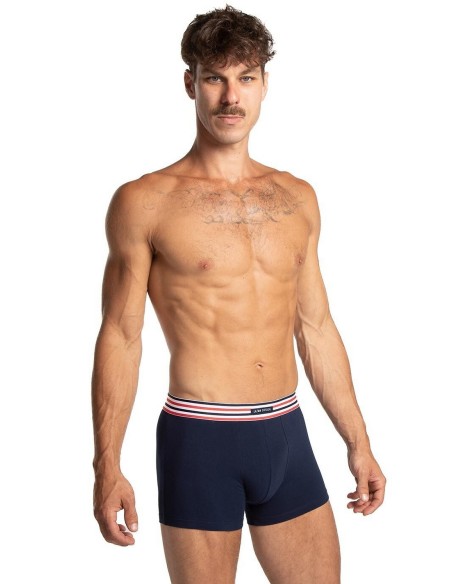 Shorts men's m-1066szg 2-pack Lama