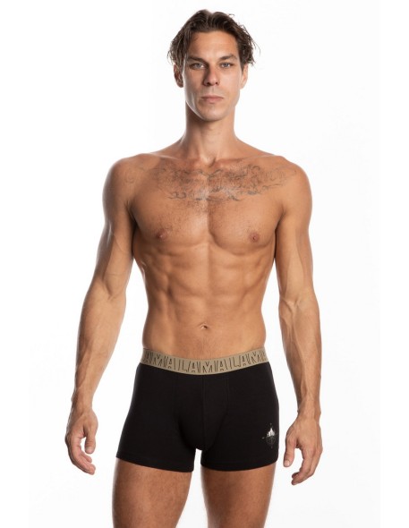 Shorts men's m-1058szg 2-pack Lama