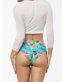 Briefs sea stars simple classic Julimex 2