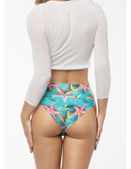 Figi sea stars simple classic Julimex