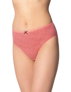 Briefs women's bikinis l-127bi-30 3-pack Lama 2