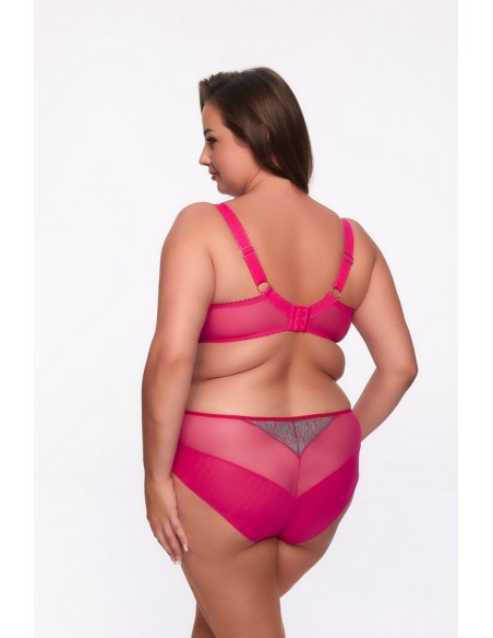 Briefs cintia art. 1294 Gaia