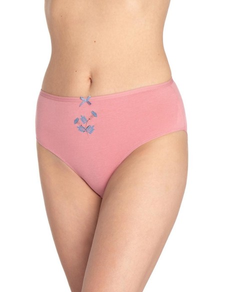 Briefs l-122bi-63 a'3 2xl Lama