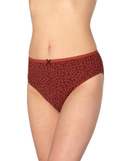 Briefs l-127bi-32 a'3 2xl Lama 2