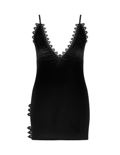 Paloma Beauty Night Fashion