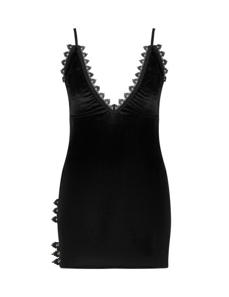 Paloma Beauty Night Fashion