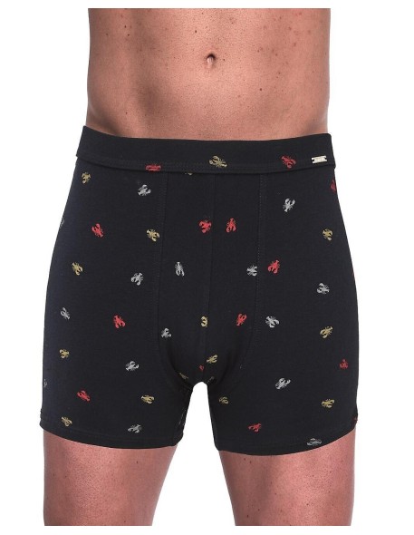 Boxer shorts prime 904/125 3xl-5xl Cornette