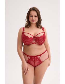 Briefs aina art. 1273 red Gaia