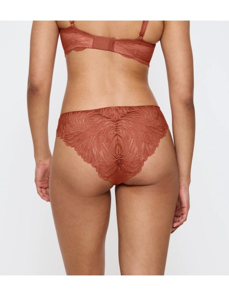 Triumph lace panties Pretty Micro Tai desert...