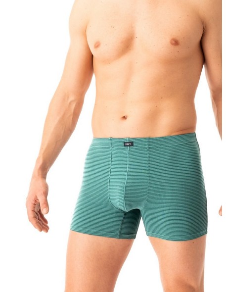 Boxer shorts men's mxh 328 b25 Key